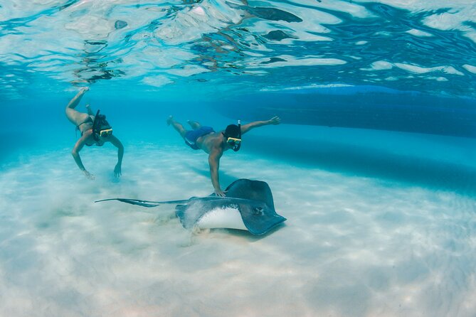 Half-Day Private Stingray City Charter - Grand Cayman - BTC - What the crew adds to the day