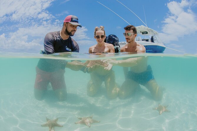 Half-Day Private Stingray City Charter - Grand Cayman - BTC - Who will get the most from this charter