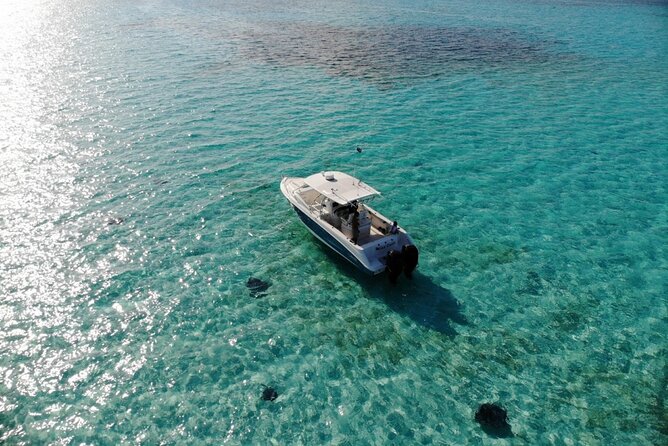 Half-Day Private Stingray City Charter - Grand Cayman - BTC - Coral Gardens in 8 to 10 feet of water