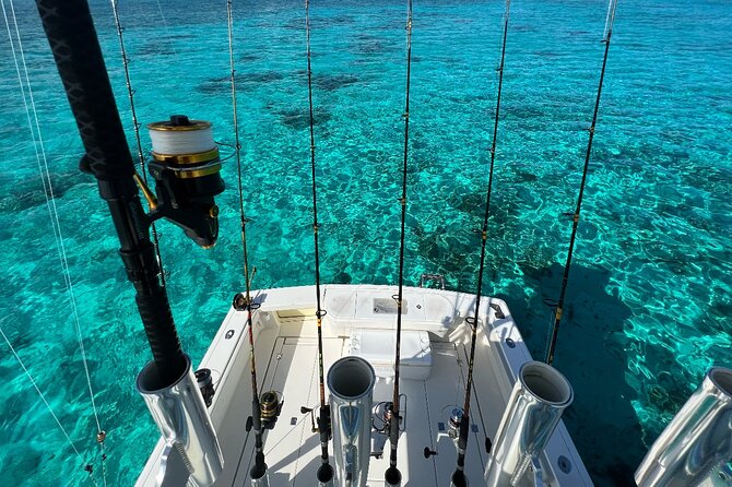 Luxury Private Fishing Charters - FULL DAY CHARTER - Price, Timing, and Weather