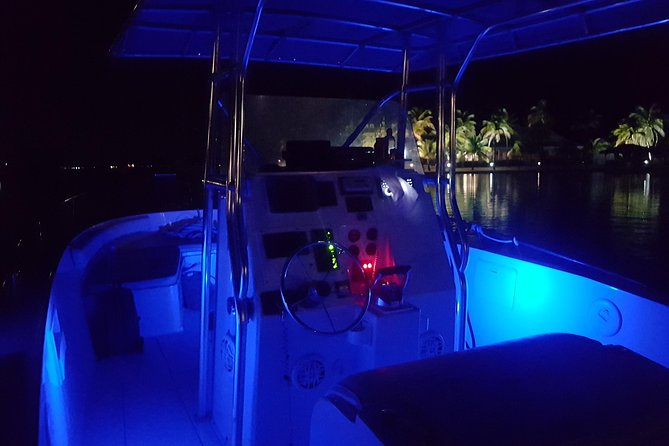 Night Bioluminescence Snorkel Tour - What the bioluminescent water looks like