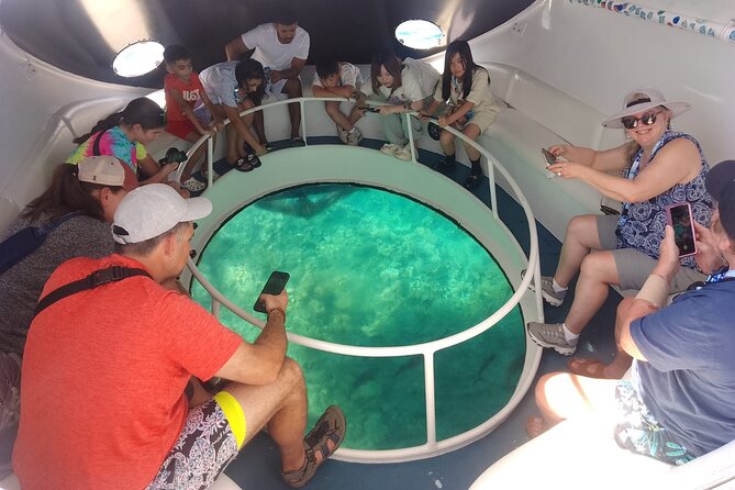 Oculus Glass Bottom Boat Tour - Cheeseburger Reef and its underwater sculptures