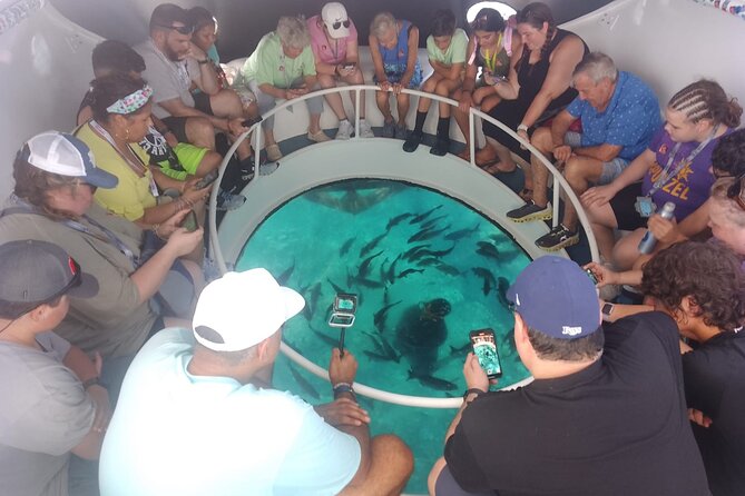 Oculus Glass Bottom Boat Tour - Fish, turtles, rays, and the chance to snorkel