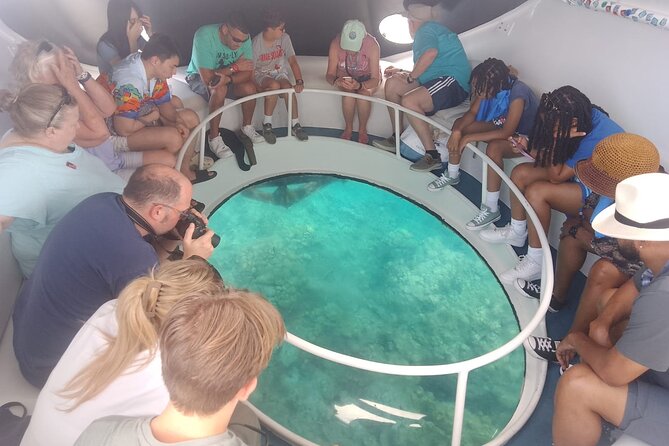 Oculus Glass Bottom Boat Tour - The captain and guide shape the experience