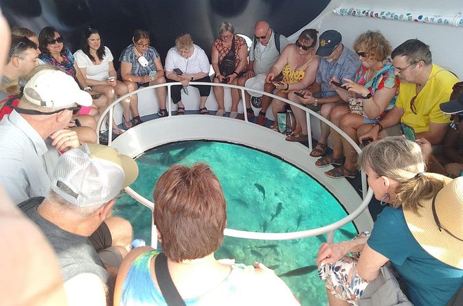 Oculus Glass Bottom Boat Tour - Boarding and comfort require honest attention