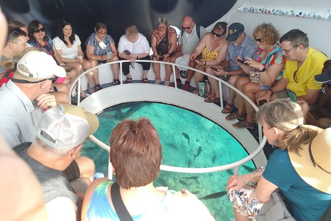 Oculus Glass Bottom Boat Tour - Is $59.95 a fair price?