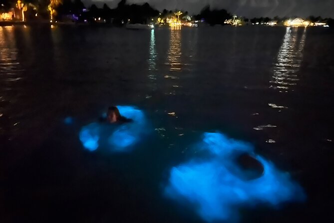 Private: Bioluminescence Tour - Key points to know before you go