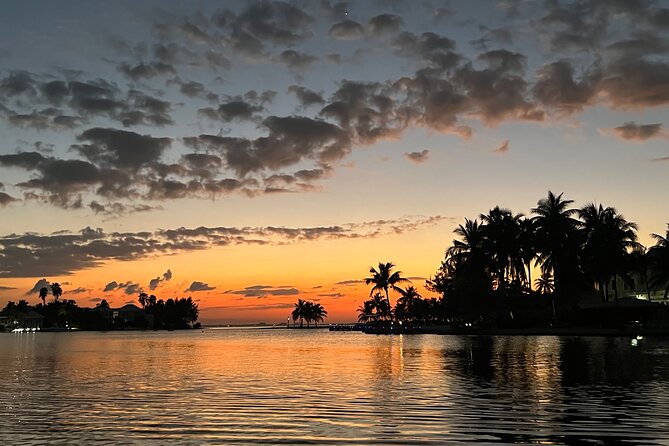 Private: Bioluminescence Tour - The blue flash that makes this Grand Cayman trip special