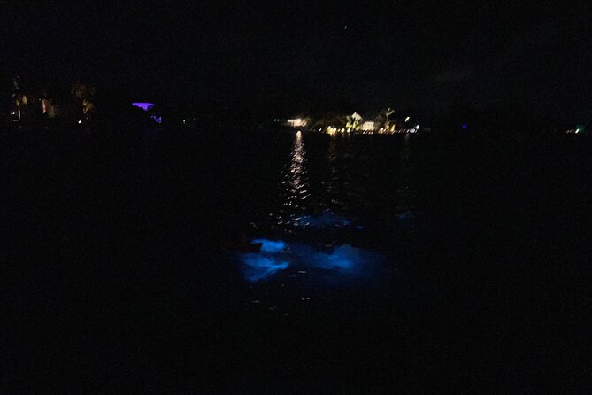 Private: Bioluminescence Tour - Captains who shape the evening