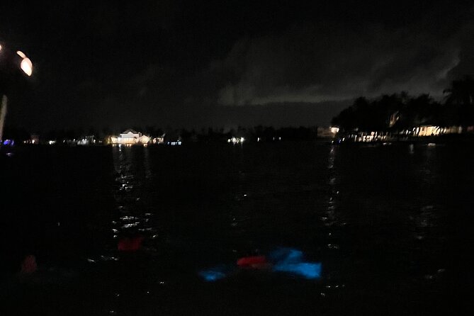 Private: Bioluminescence Tour - The moon and tide question you should ask