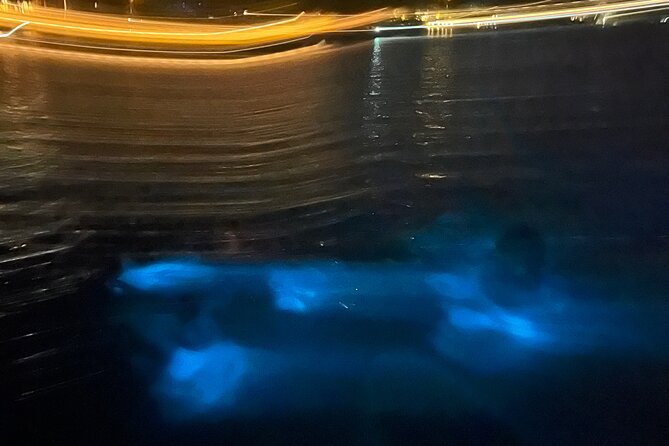 Private: Bioluminescence Tour - What to bring and what to arrange