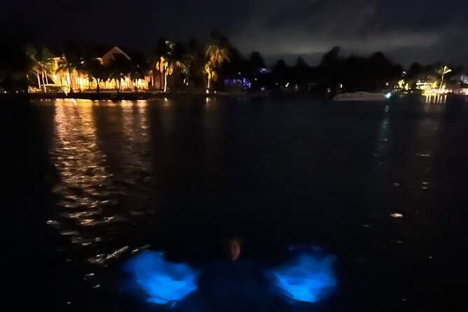 Private: Bioluminescence Tour - Who will enjoy this most
