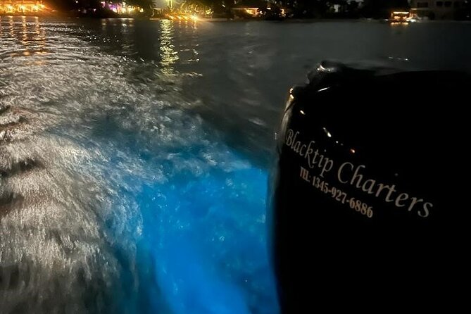 Private Bioluminescence Tour in Grand Cayman - Key points to know before you book