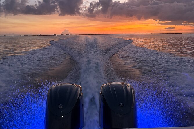 Private Bioluminescence Tour in Grand Cayman - What the glowing water is really like