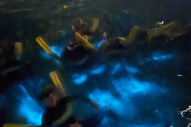 Private Bioluminescence Tour in Grand Cayman - What the 2.5-hour itinerary includes