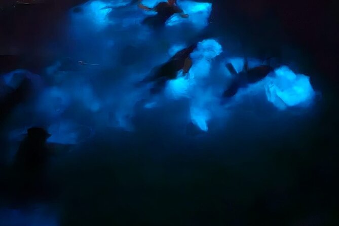 Private Bioluminescence Tour in Grand Cayman - Is $1,025 a fair price?