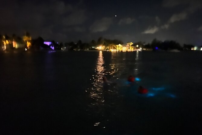 Private: Bioluminescence Tour - Leaving Camana Bay after dark
