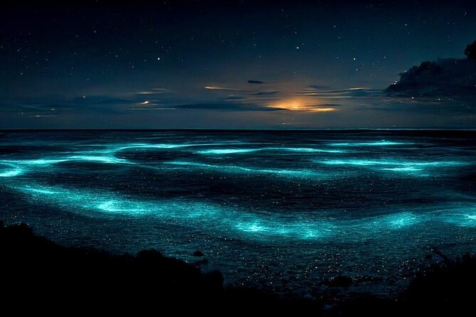 Private Bioluminescent Bay Tour - Key points at a glance