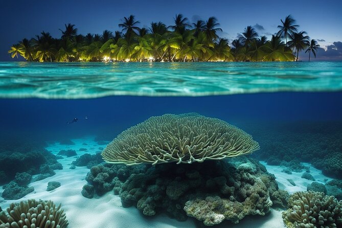 Private Bioluminescent Bay Tour - Why Bio Bay feels different from ordinary night swimming