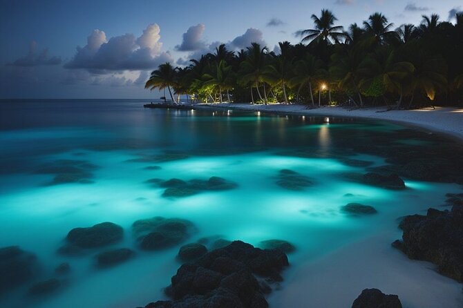Private Bioluminescent Bay Tour - Leaving the Cayman Islands Yacht Club at 7:00 pm