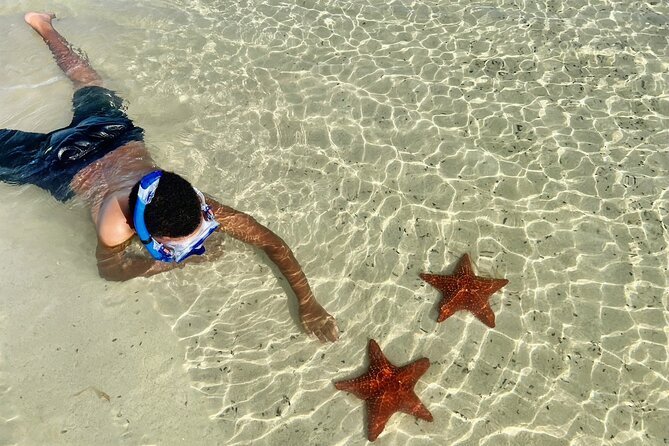Private Boat Charter in Cayman Islands - Barrier Reef snorkeling for 45 minutes