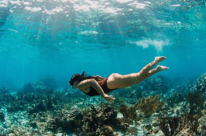 Private Boat Charter Snorkeling Stingray City or Bio Bay - Starfish Point for a slower water stop