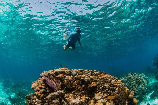 Private Boat Charter Snorkeling Stingray City or Bio Bay - Captain Mike and the value of local judgment