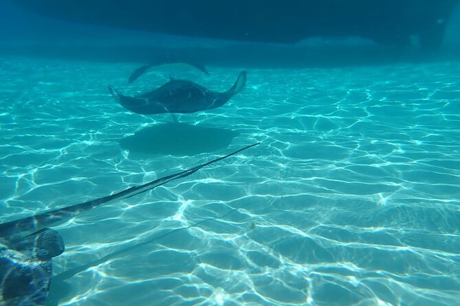 Private Boat Tour in Cayman Islands - Why a private boat works well in Grand Cayman