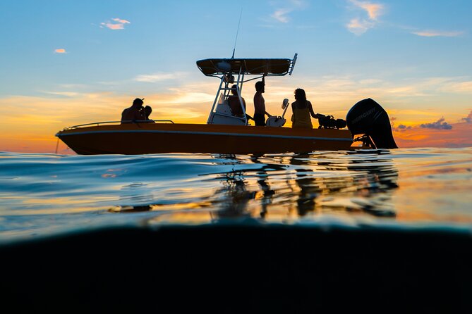 Private Boat Tours: Customize Your Grand Cayman Adventure! - Bio Bay after dark