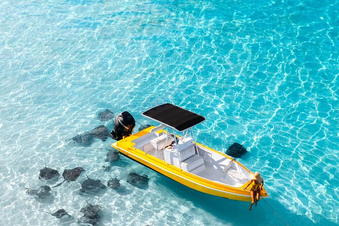 Private Boat Tours: Customize Your Grand Cayman Adventure! - Stingray City, the essential 45-minute stop