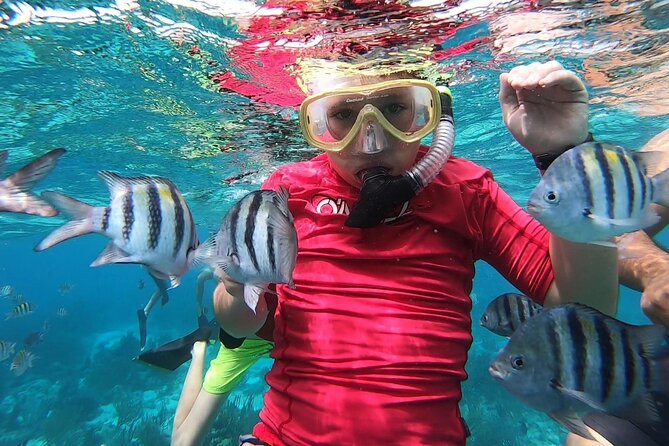 Private Charter 28ft Grady White. Stingrays, Snorkeling, Starfish - Timing, weather, and cancellation