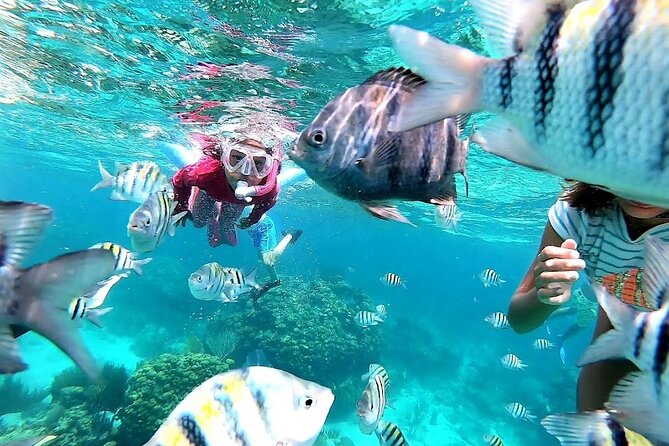 Private Charter 28ft Grady White. Stingrays, Snorkeling, Starfish - Stingray City, the main event