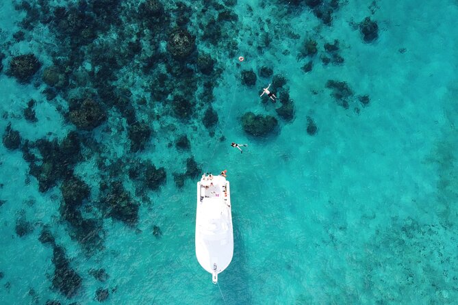 Private Charter 34ft Express Cruiser Stingay City Reef Snorkeling - Starfish Point, a quiet finish by the sand