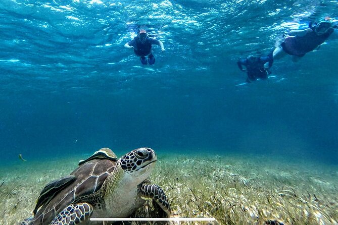 Private Charter 34ft Express Cruiser Stingay City Reef Snorkeling - Rum Point, lunch, and the longer charter options