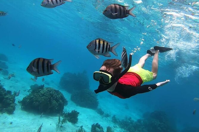 Private Charter 34ft Express Cruiser Stingay City Reef Snorkeling - Weather, comfort, and practical planning