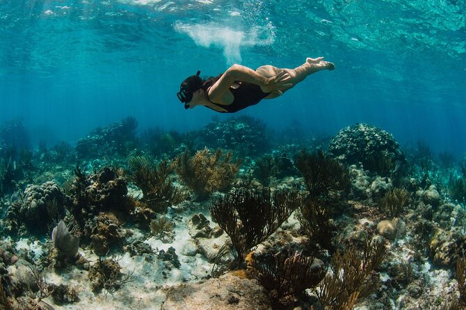Private Charter Reef fishing, Stingray City, Snorkel, Mangroves - Rum Point offers a slower hour