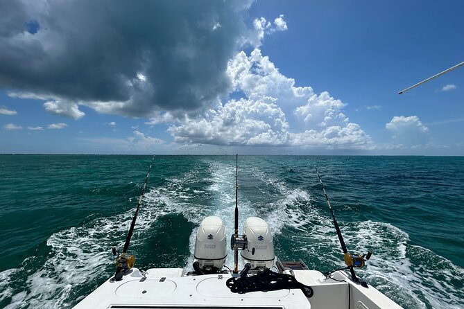 Private Charter Reef fishing, Stingray City, Snorkel, Mangroves - Snorkeling and mangroves add local texture