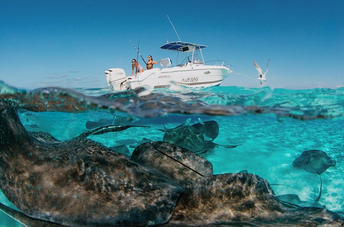 Private Charter Reef fishing, Stingray City, Snorkel, Mangroves - What is included, and what you should bring