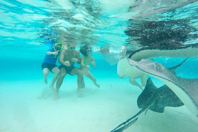 Private Half Day Boat Tour, 3 locations of your choice - Who will enjoy this boat tour most?