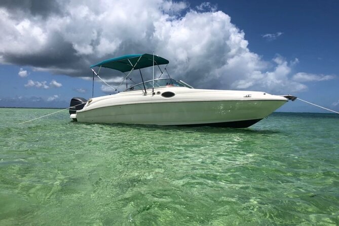 Private Half-Day Charter to Stingray City, Starfish Point and Snorkeling Tour - Starfish Point: a gentler stop