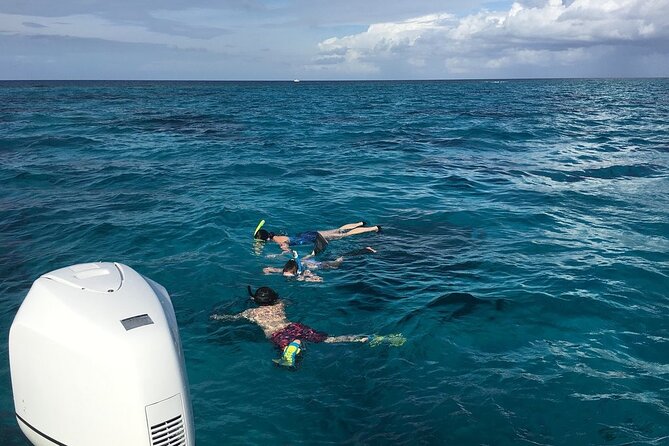 Private Half Day Stingray City, Snorkeling and Starfish Beach Tour - Why a private boat makes Stingray City better