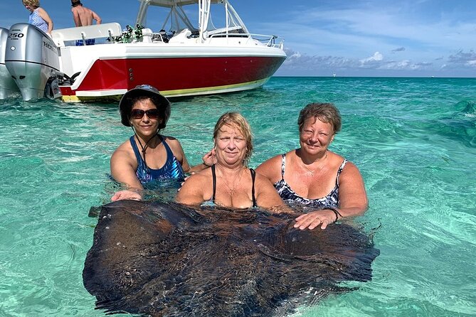 Private Half Day Stingray City, Snorkeling and Starfish Beach Tour - Feeding stingrays at the North Sound sandbar