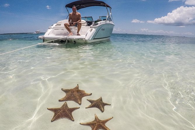 Private, luxury, custom charters to Stingray City, Snorkeling & More - Starfish Point, a quieter change of pace