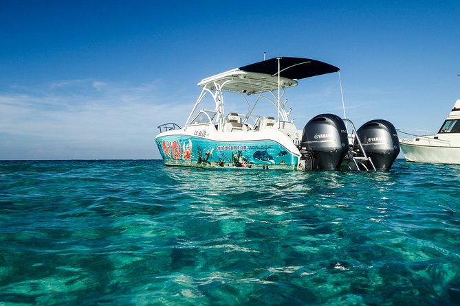 Private Stingray City and Snorkeling Half Day Charter for 6 Guest - Snorkeling and Coral Gardens