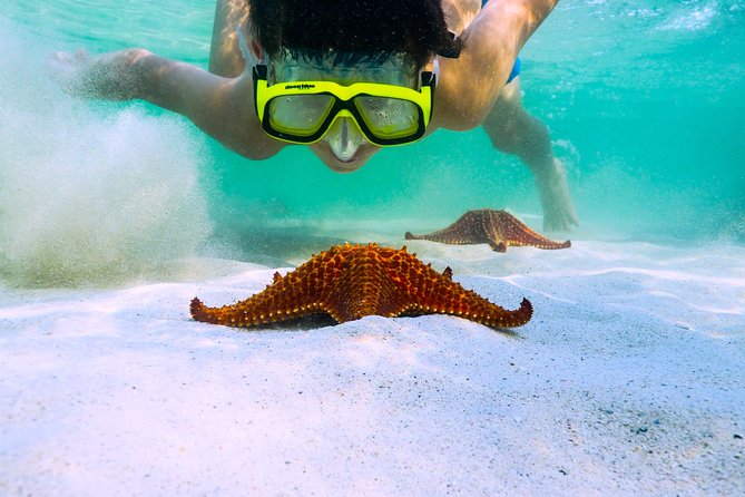 Private Stingray City Snorkeling and BioBay Charter for 10 Guests - A long afternoon on Grand Cayman’s water