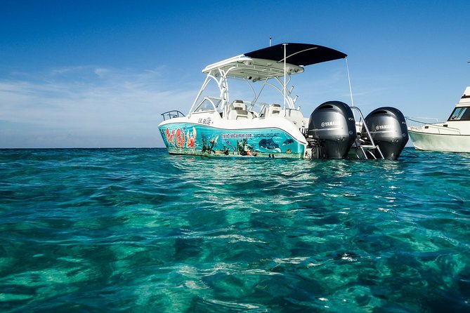 Private Stingray City Snorkeling and BioBay Charter for 10 Guests - The sunset supper break is flexible, not catered
