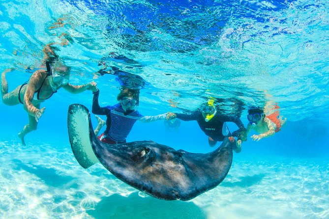Private Stingray City Snorkeling and BioBay Charter for 10 Guests - Starfish Point starts with calm, shallow water