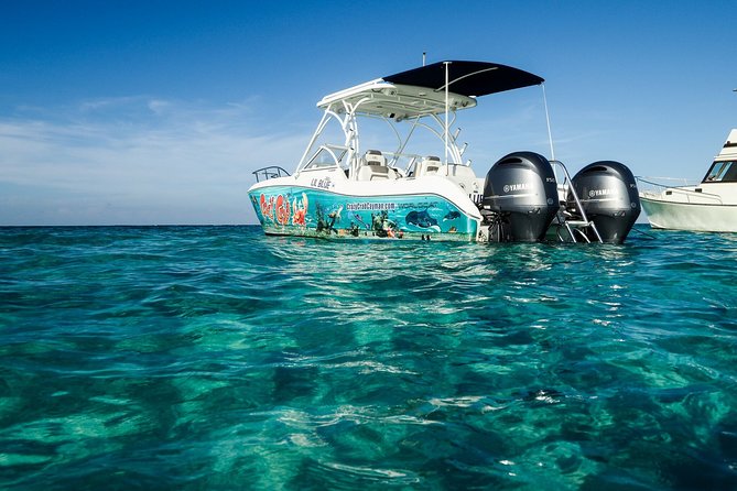 Private Stingray City Snorkeling and BioBay Charter for 6 Guests - Who will enjoy this charter most