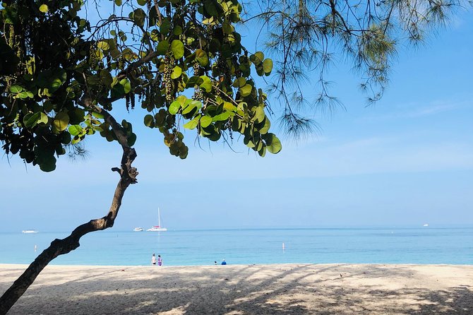 Private Swim Lesson or Triathlon Training on Seven Mile Beach! - Booking timing, cancellation, and practical limits
