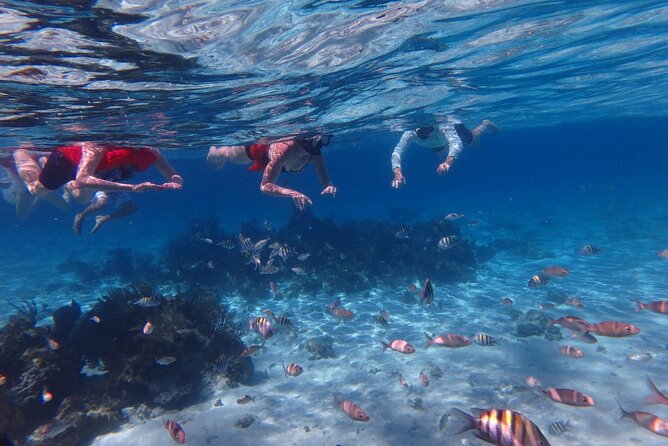 Private Tour to Stingray City & Snorkeling at Coral Gardens - Why this private Stingray City trip feels different